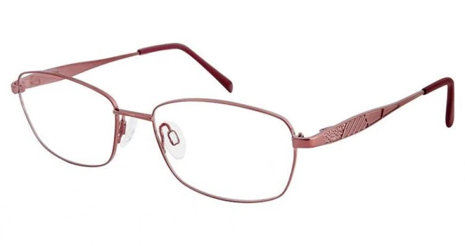 Aristar AR16377 Eyeglasses - view 4